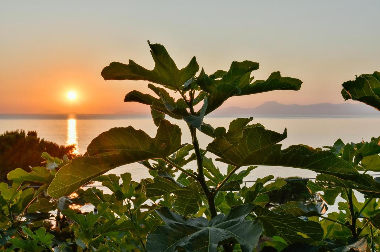 Albeca Boutique Hotel - Relais De Charme Sul Mare カステッラバーテ エクステリア 写真